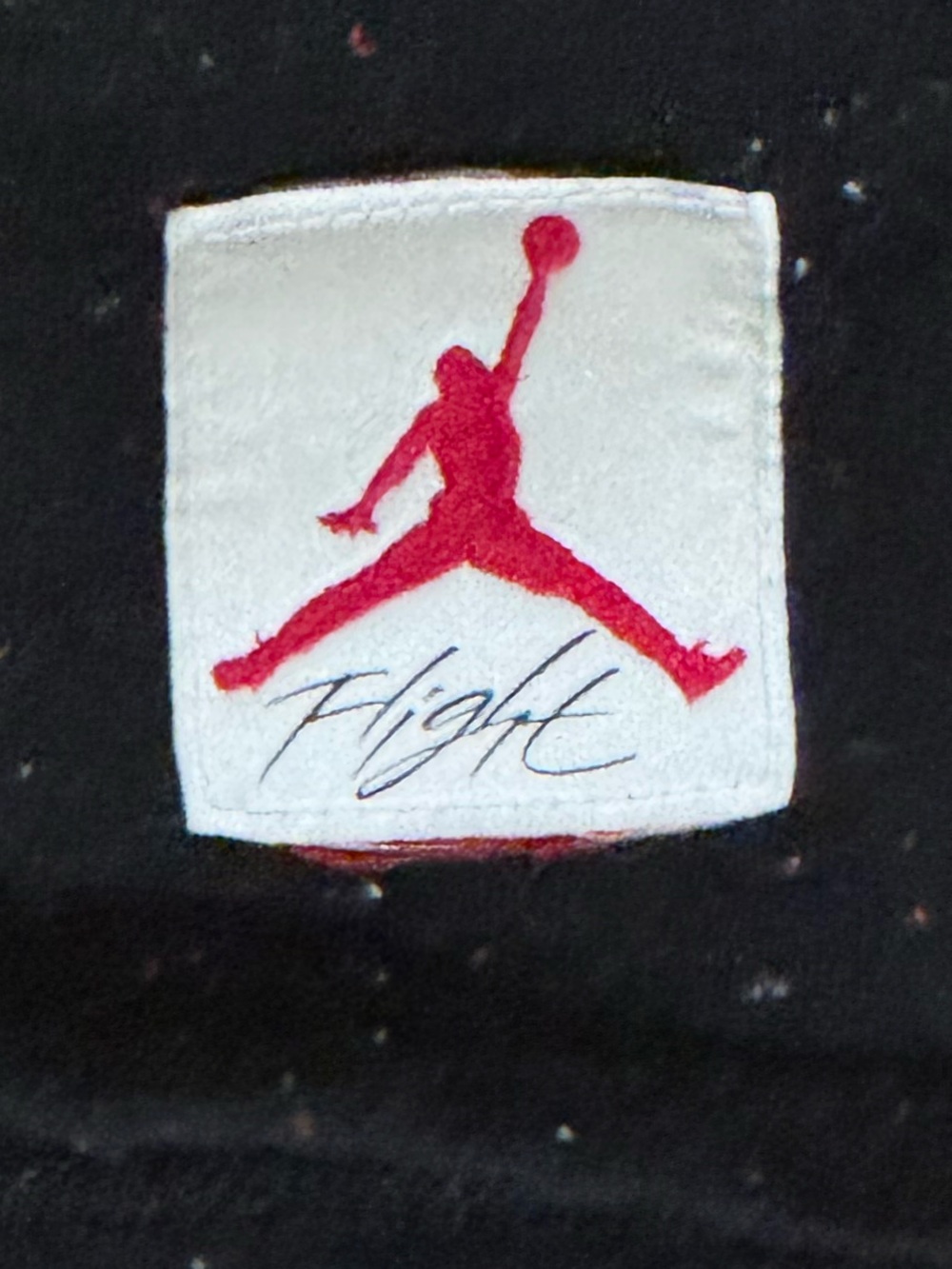 Jordan 1 Retro Shirt Adidas Samba Nike Dunk AF1 New Balance 2002R Puma Speedcat